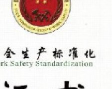 龙应科技获颁“安全生产标准化三级企业”荣誉证书